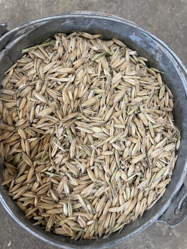 Ground Oats